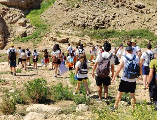 Let’s Clean up Europe en Bionord